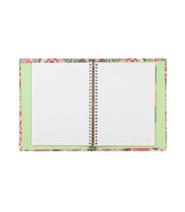 کلاسور 26 حلقه سم - طرح هدهد