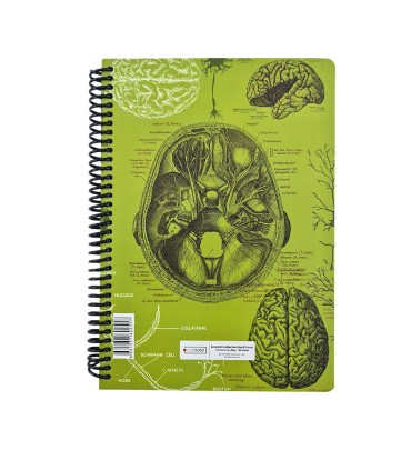 دفتر 100 برگ Science دات نوت طرح آناتومی مغز  dotnote