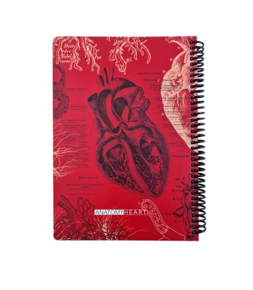 دفتر 100 برگ Science دات نوت طرح آناتومی قلب  dotnote