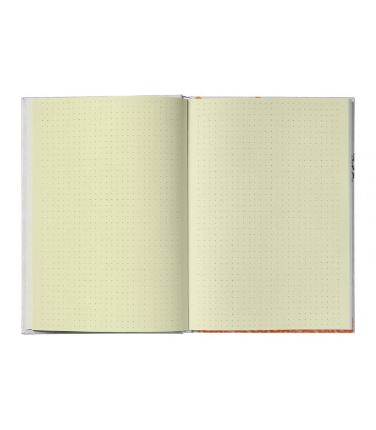 دفتر بولت ژورنال نقطه ای رقعی مستر نوت