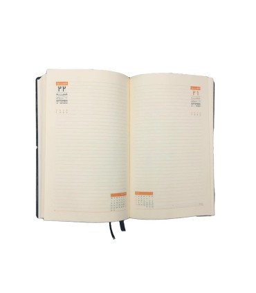 قیمت و خرید سررسید 1404 سم  SAM مدل سافت فانتزی اروپایی- سبز