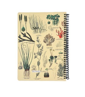 دفتر 100 برگ Science دات نوت طرح گیاه شناسی