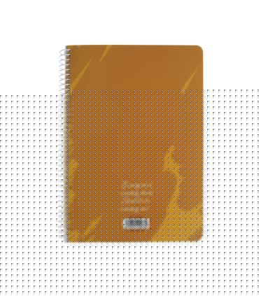 دفتر 100 برگ وزیری سیمی مجلد الیپون - کد 2411595