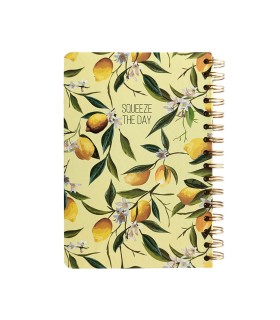 دفتر کلاسیک سیمی ۱۰۰ برگ دات نوت - طرح SQUEEZE THE DAY