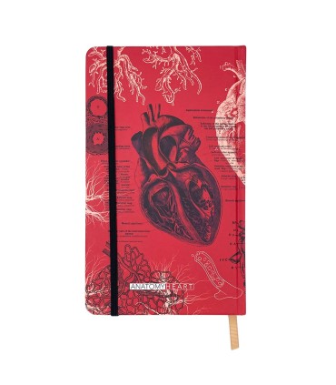 دفتر اروپایی خط دار دات نوت - طرح آناتومی قلب