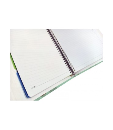 کلاسور 26 حلقه مستر نوت کد 15