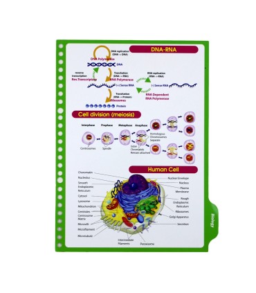 یدک دفتر کلاسور 26 حلقه دات نوت 100 برگ طرح My Science